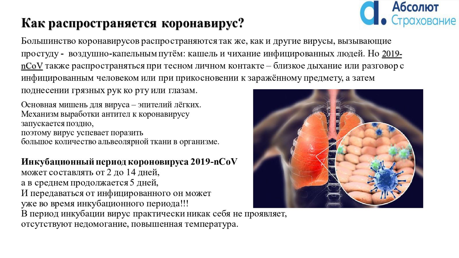 Лёгкие человека при короновирусной инфекции